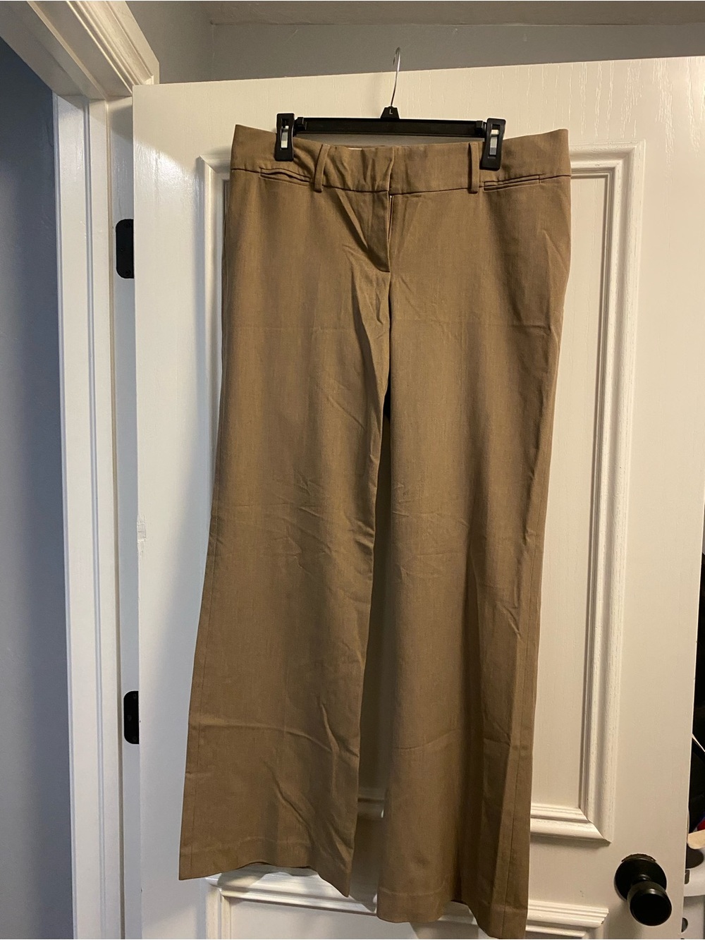 LOFT Wide Leg Pants in Camel/Tan